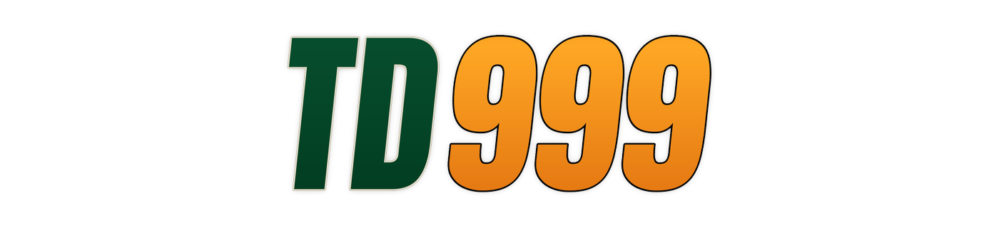 td999 Logo